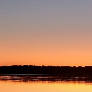 Meet your Posher, Maximus